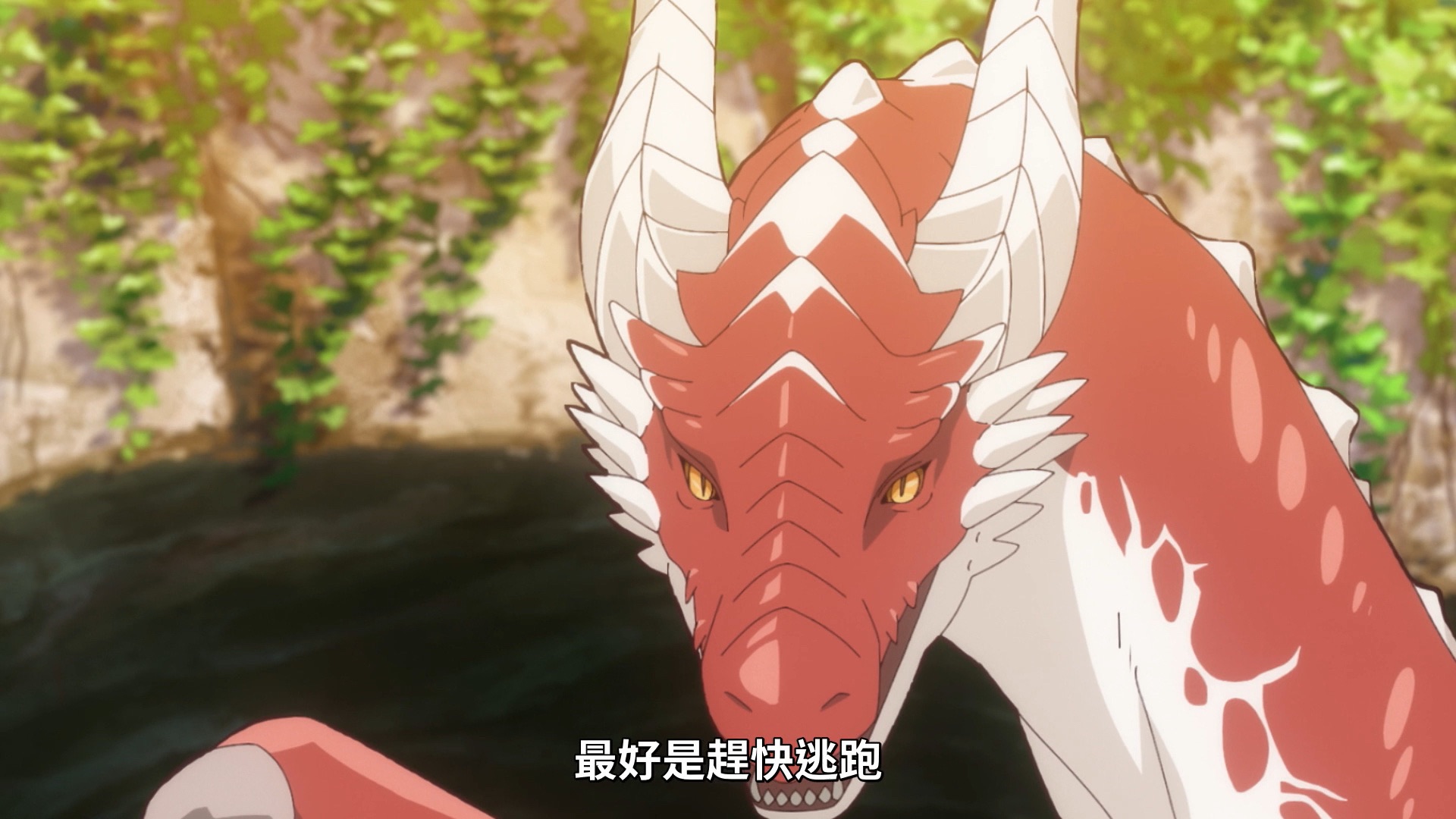 「七月黑马新番」——《猫与龙》完结，第二季制作决定！