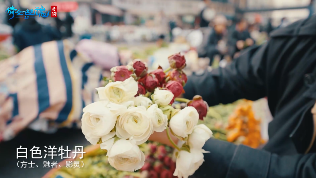 前方99999朵鲜花预警，这不比以爱之名有仪式感？