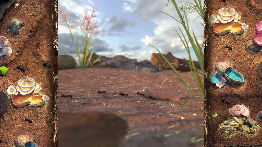 【蚁族栖息地】早期蚂蚁驯服自然资源的珍贵影像