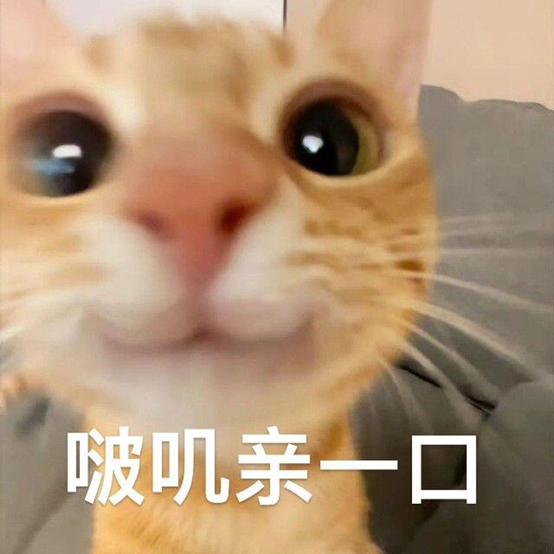 当代情场困境VS三谋破局之道