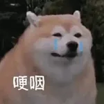 不氪金真的玩不下去吗？零氪玩家的生存现状