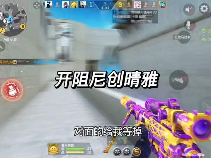 开阻尼创晴雅