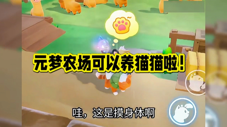元梦农场可以养猫猫啦！