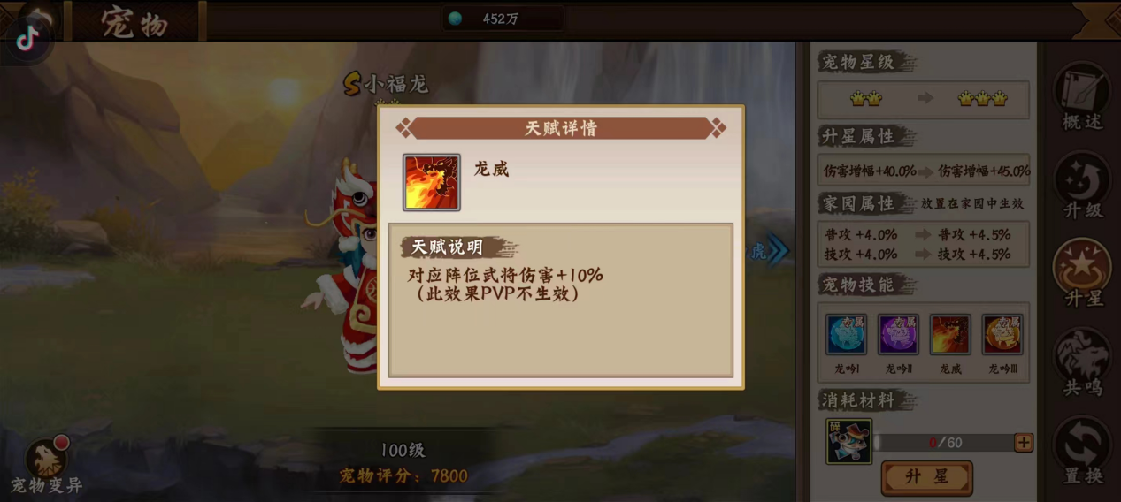 小福龙配年宠之称吗？一篇你就了解