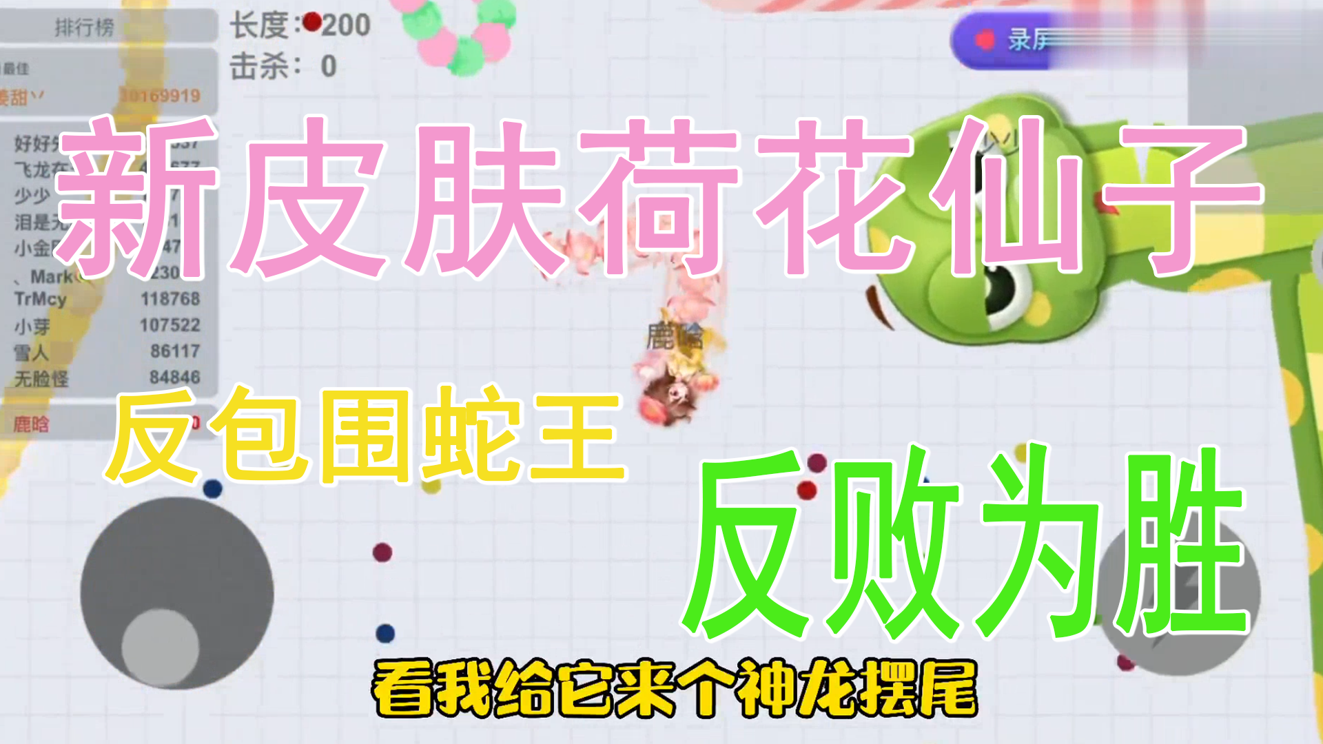贪吃蛇大作战:新皮肤荷花仙子包围蛇王给它来个歪头杀！
