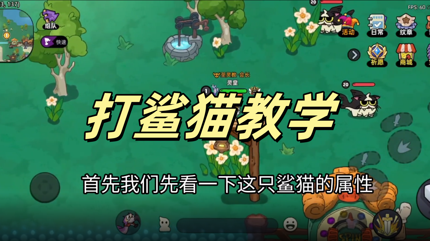 打鲨猫教学