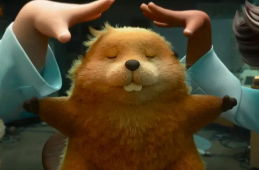 软萌河狸变身太治愈 坏情绪一扫而空