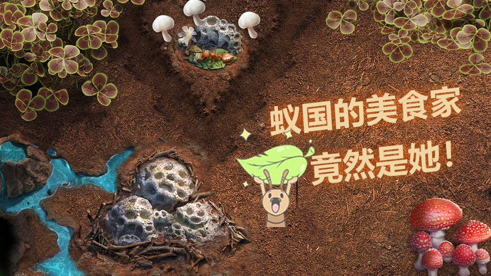 【蚁国趣闻】震惊!蚂蚁界的美食家竟是?