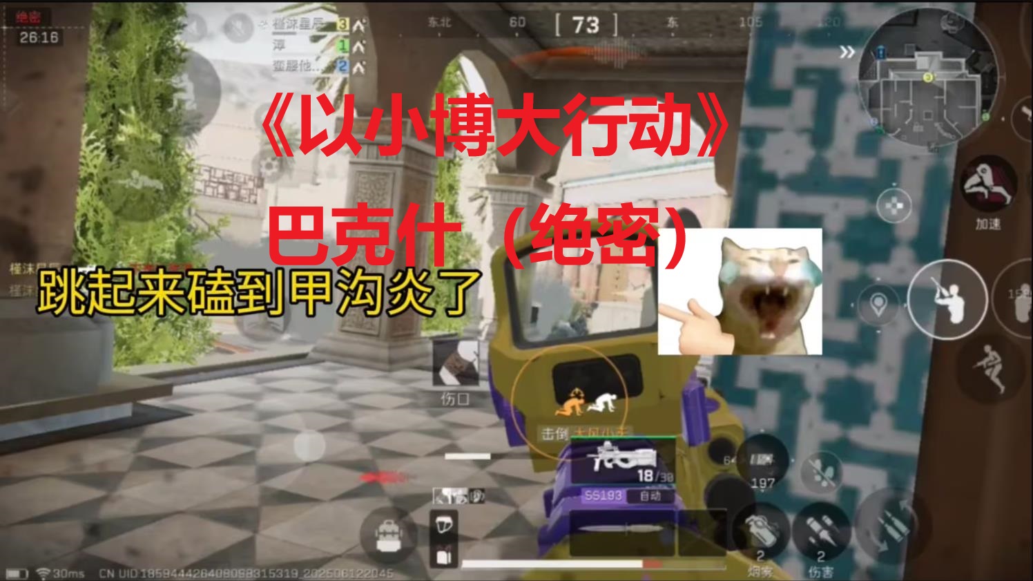 《以小博大行动》巴克什（绝密）P90