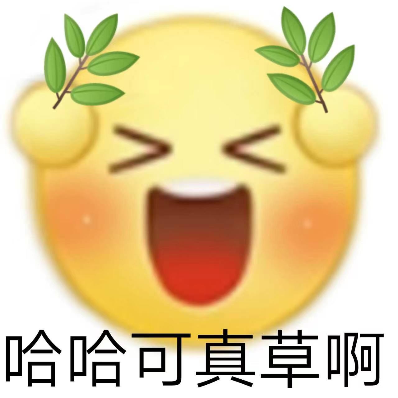 调了一下速度，同样阵容胜率直接涨20%