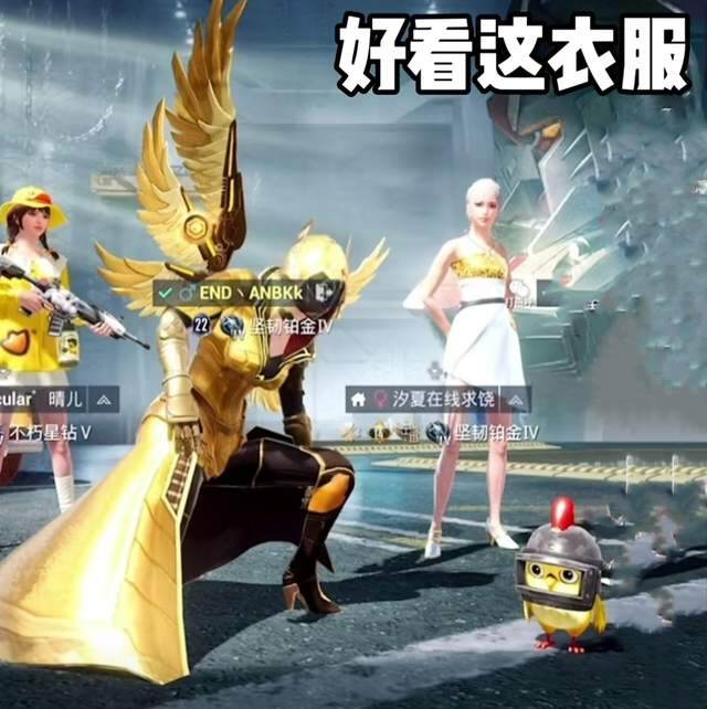 炽羽金尊头像图片