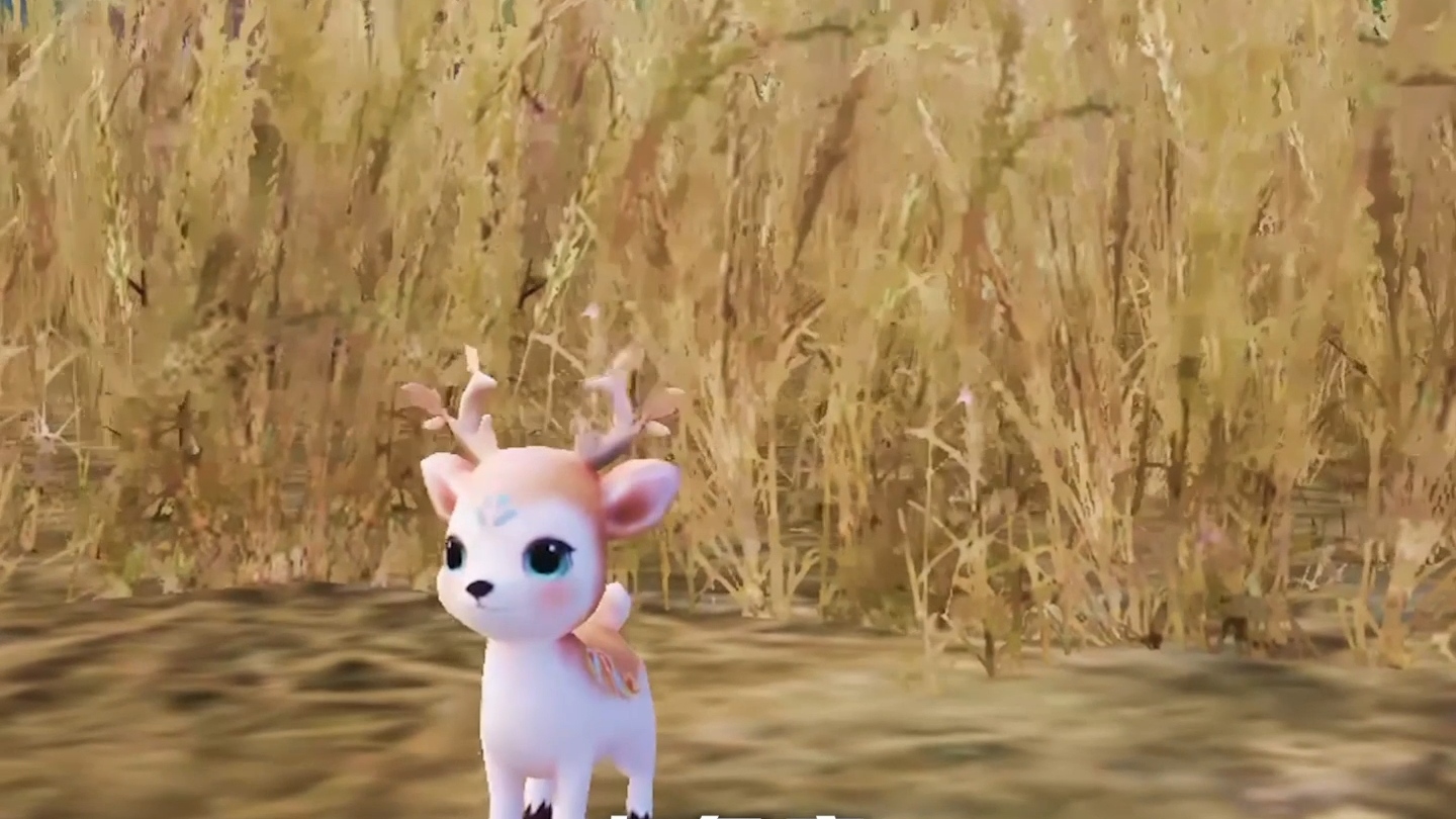 【九色鹿】不是轰轰烈烈的承诺，而是细水长流的兜底保障...