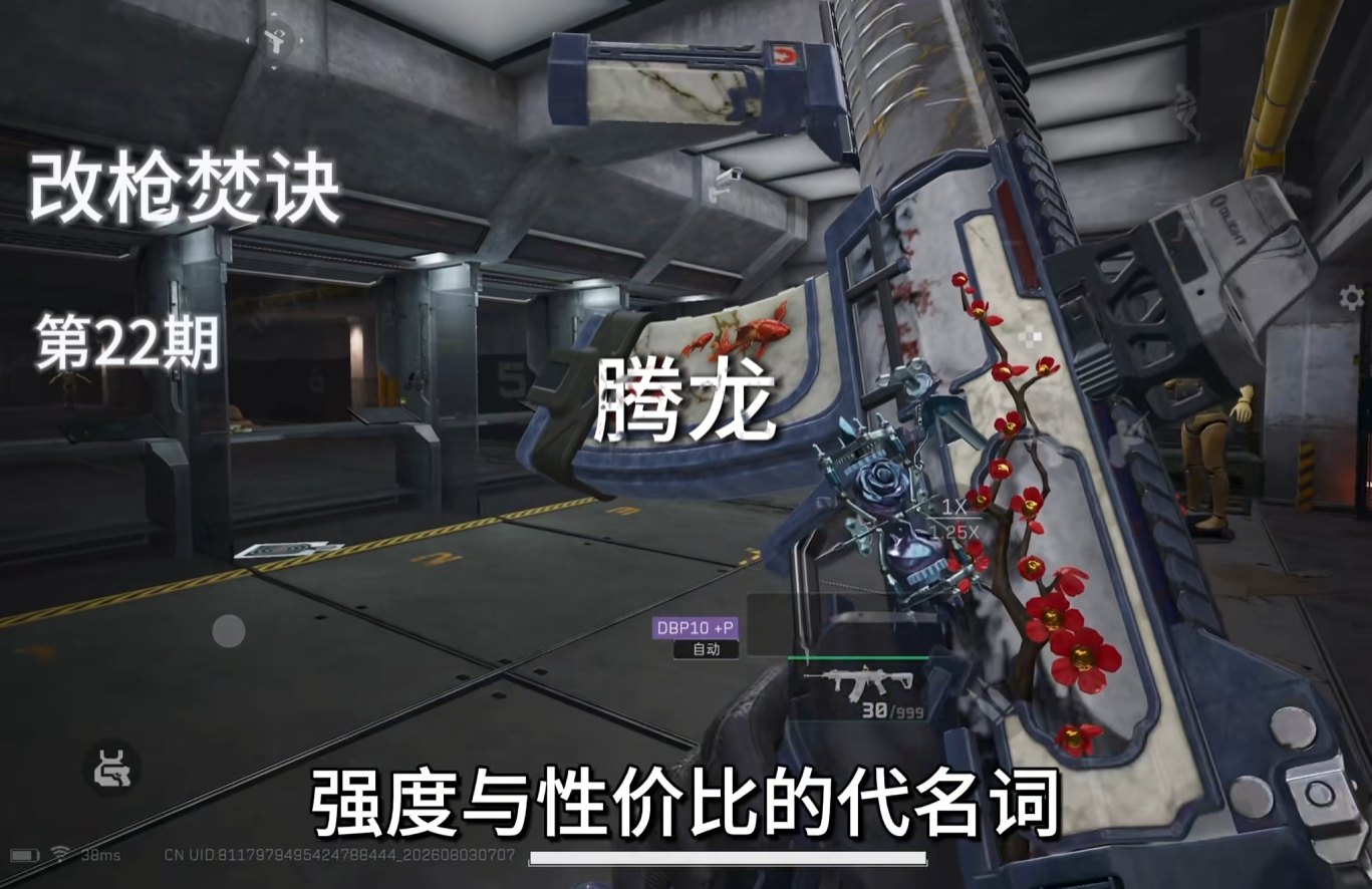 性价比之王半改腾龙