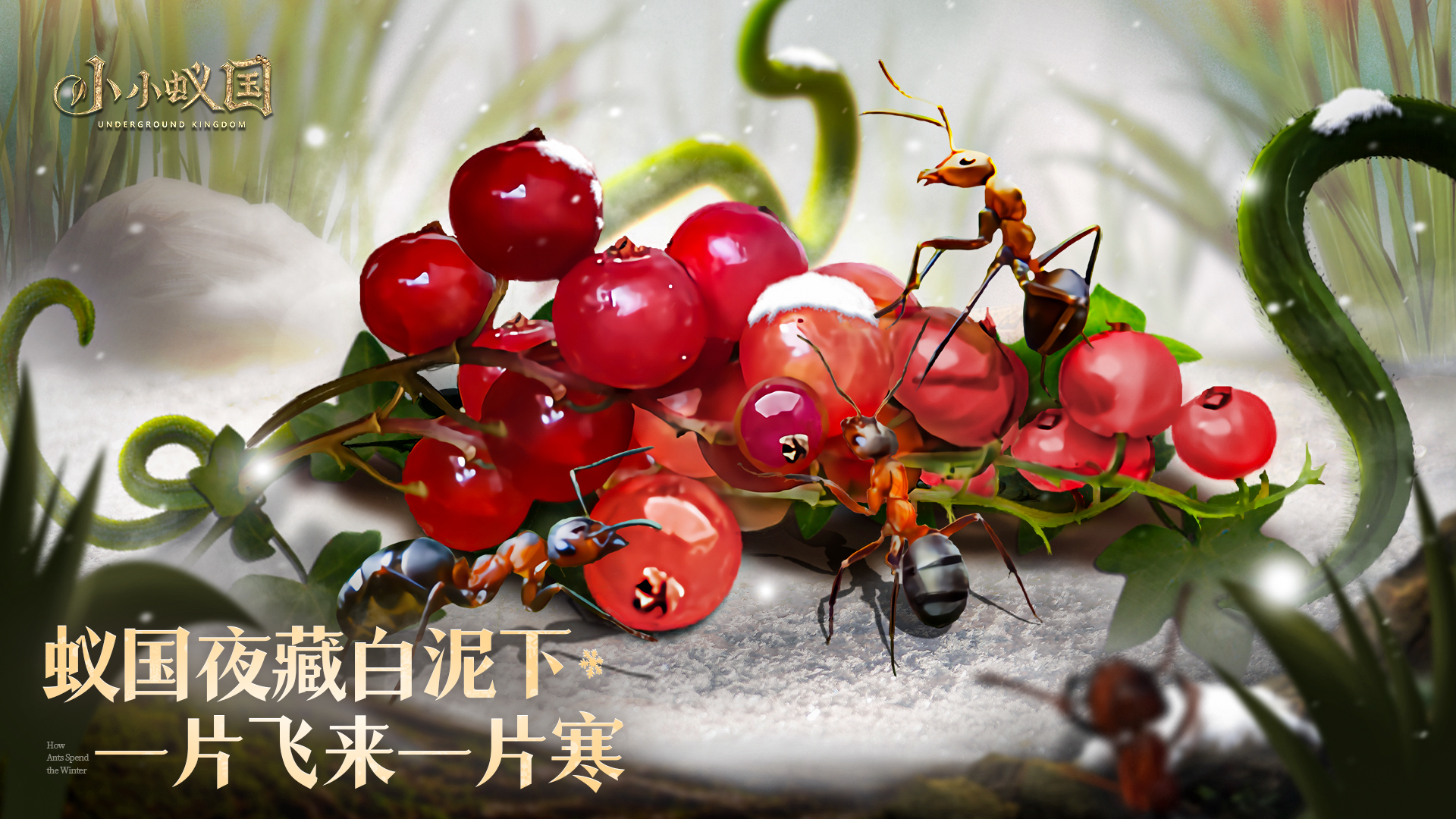 【小雪】蚁国夜藏白泥下，一片飞来一片寒