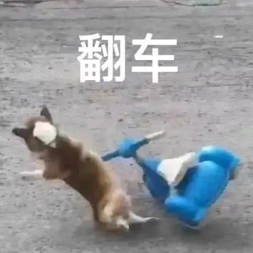 直男520翻车：多线作战为何总差临门一脚？