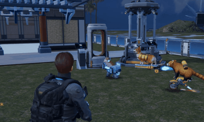 猫猫狗狗不再流浪，来看宠物的理想生活|2112黄金眼