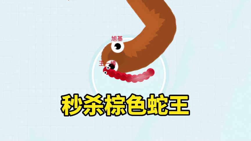 贪吃蛇大作战：开局秒杀棕色蛇王！