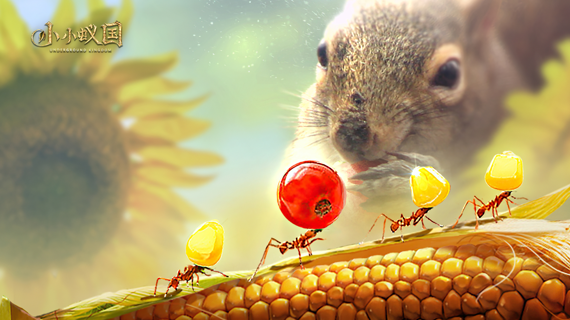 【劳动节】蚂蚁，动物界平凡又伟大的劳模