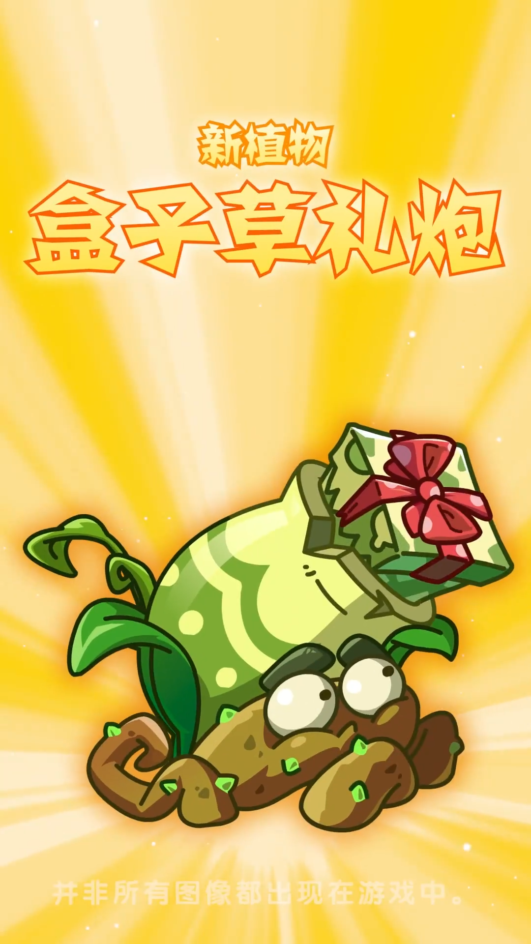 【前瞻】新植物-盒子草礼炮