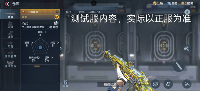 王者新星悄然登场，问鼎AN94系列一哥？