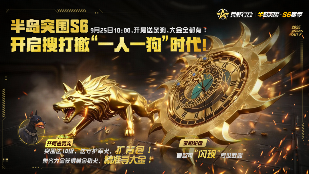 自动寻觅大金？这家没有小狗得散啊！