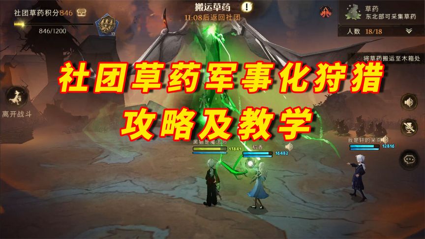 哈利波特·魔法觉醒：社团草药军事化狩猎的攻略教学，卡组推荐
