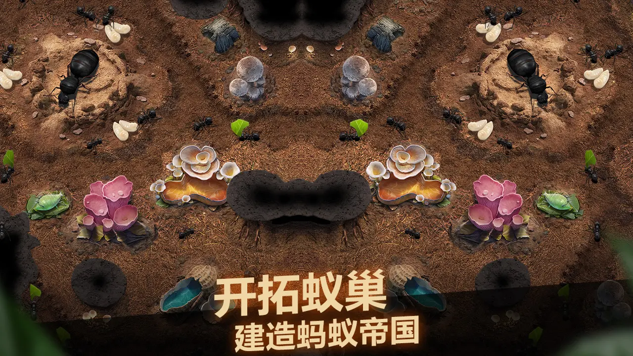 小小蚁国这款游戏大概有多大？
