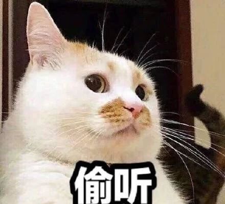 搬什么砖？