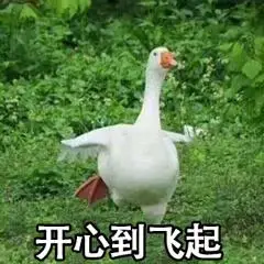 寻找母亲的背后 藏着三谋怎样的情感密码