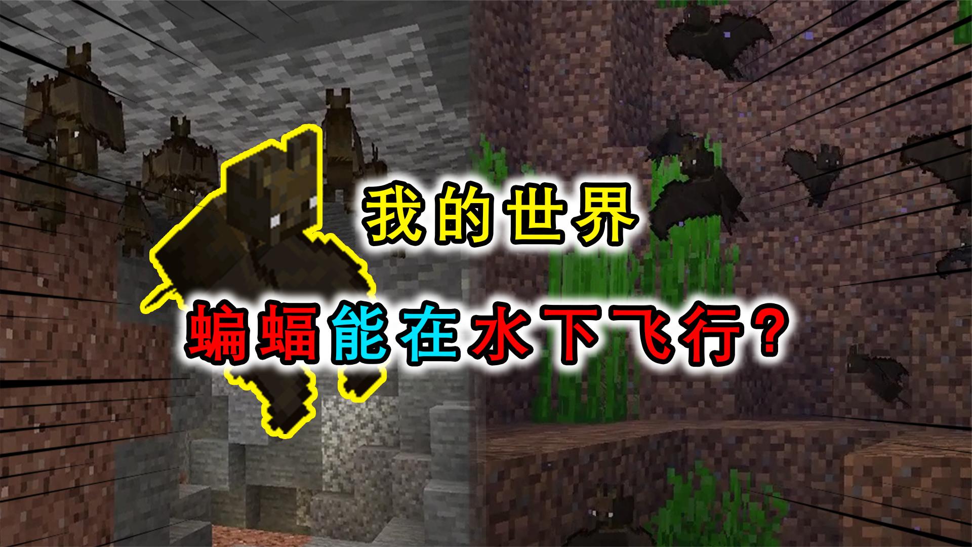 我的世界：盘点MC多年不曾修复的bug，蝙蝠能在水中自由飞翔？