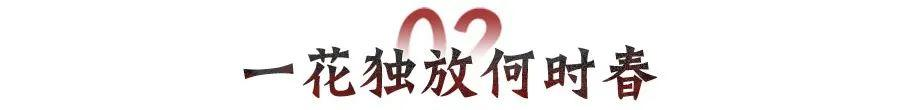 X1429-X1436局势：“寒朝”幸运匹配无人敌，激起多盟再降落，胖子内战！