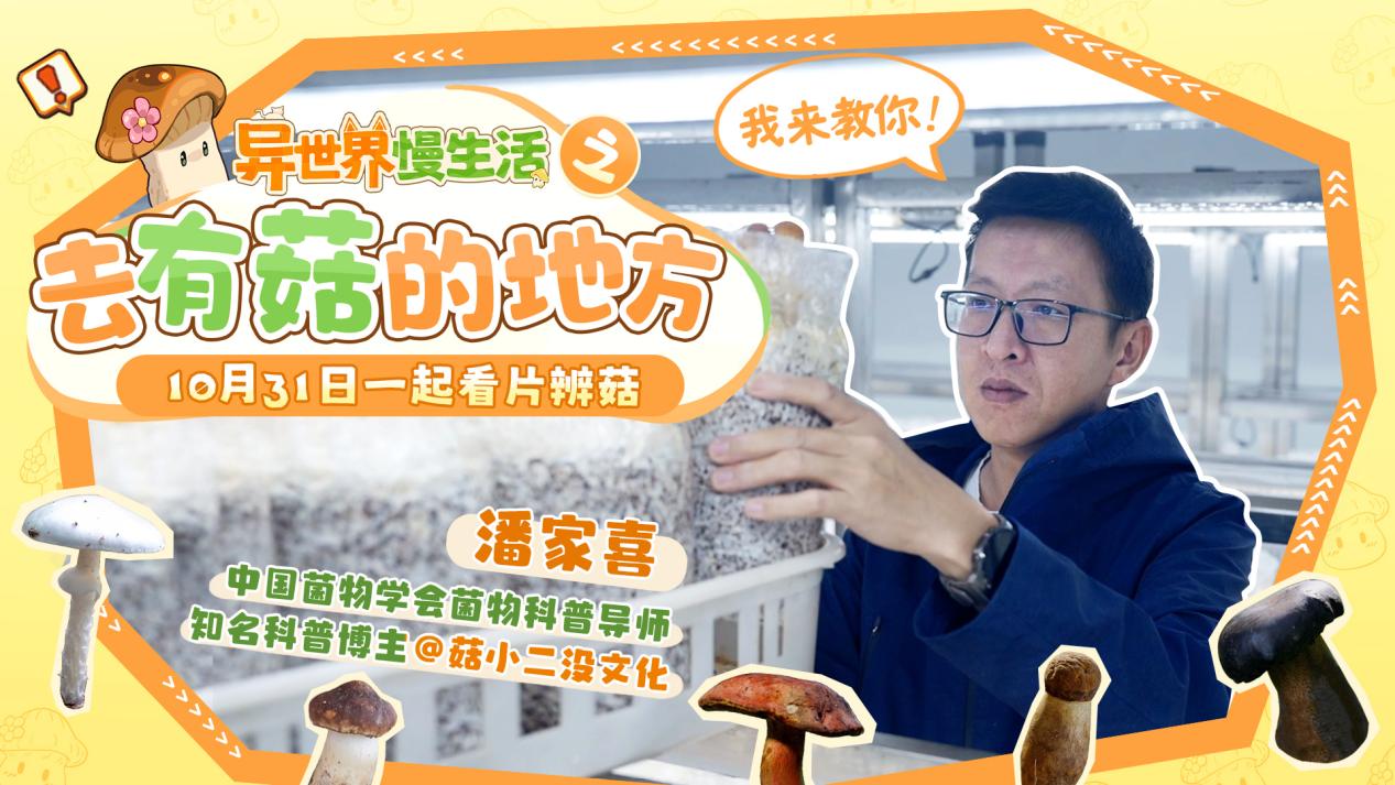 我来教你！野外辨菇这种事情真的很重要！|奇遇剧情片前瞻