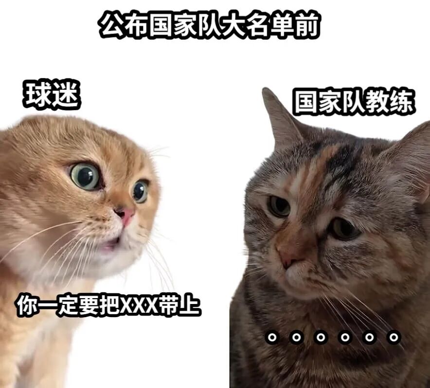 大名单，主教练都躲不过的“世纪难题”