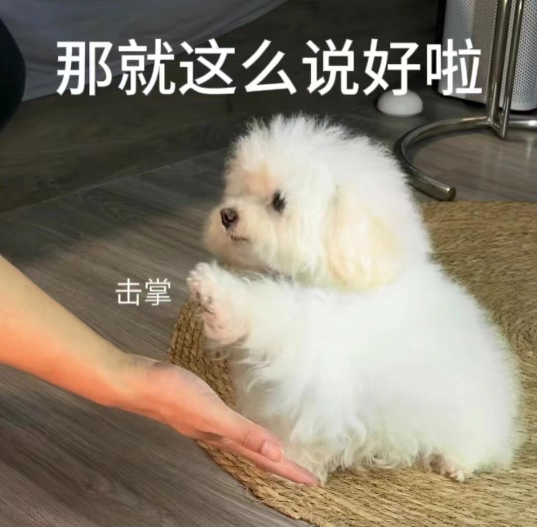 【有奖活动已结束】崩溃了，关于小师妹发现表姐【大师姐】真的很爱旅游那档事