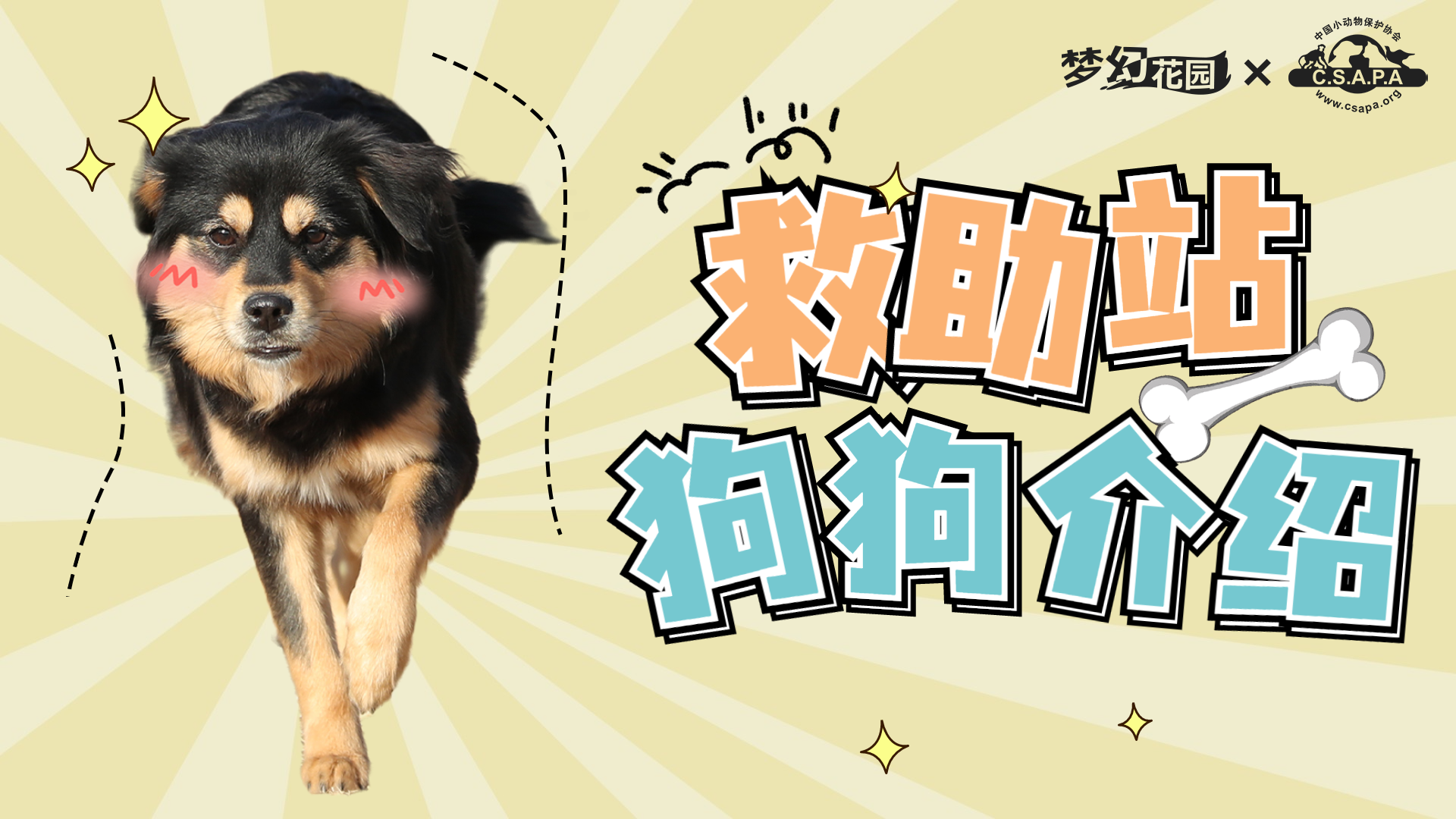 【花园公益季】汪汪队成员大揭秘，你pick哪一位