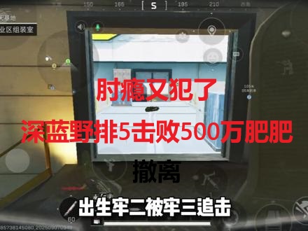 肘瘾又犯了，深蓝野排5击败500万肥肥撤离