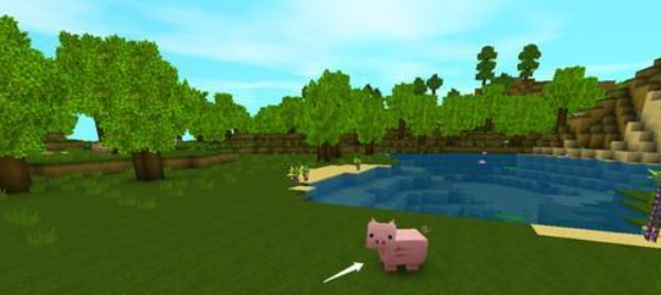 迷你世界：想要捕捉野生动物，要知道对方的生存地点