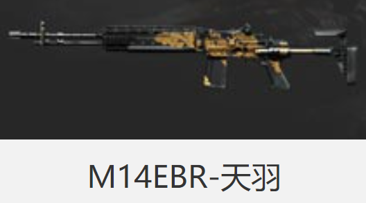 草根武器的强者 M14EBR—天羽评测
