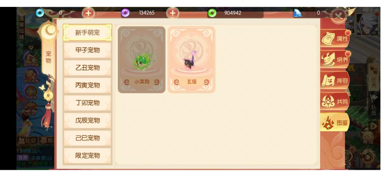 大唐宠物怎么选？《梦幻大唐》宠物图鉴介绍
