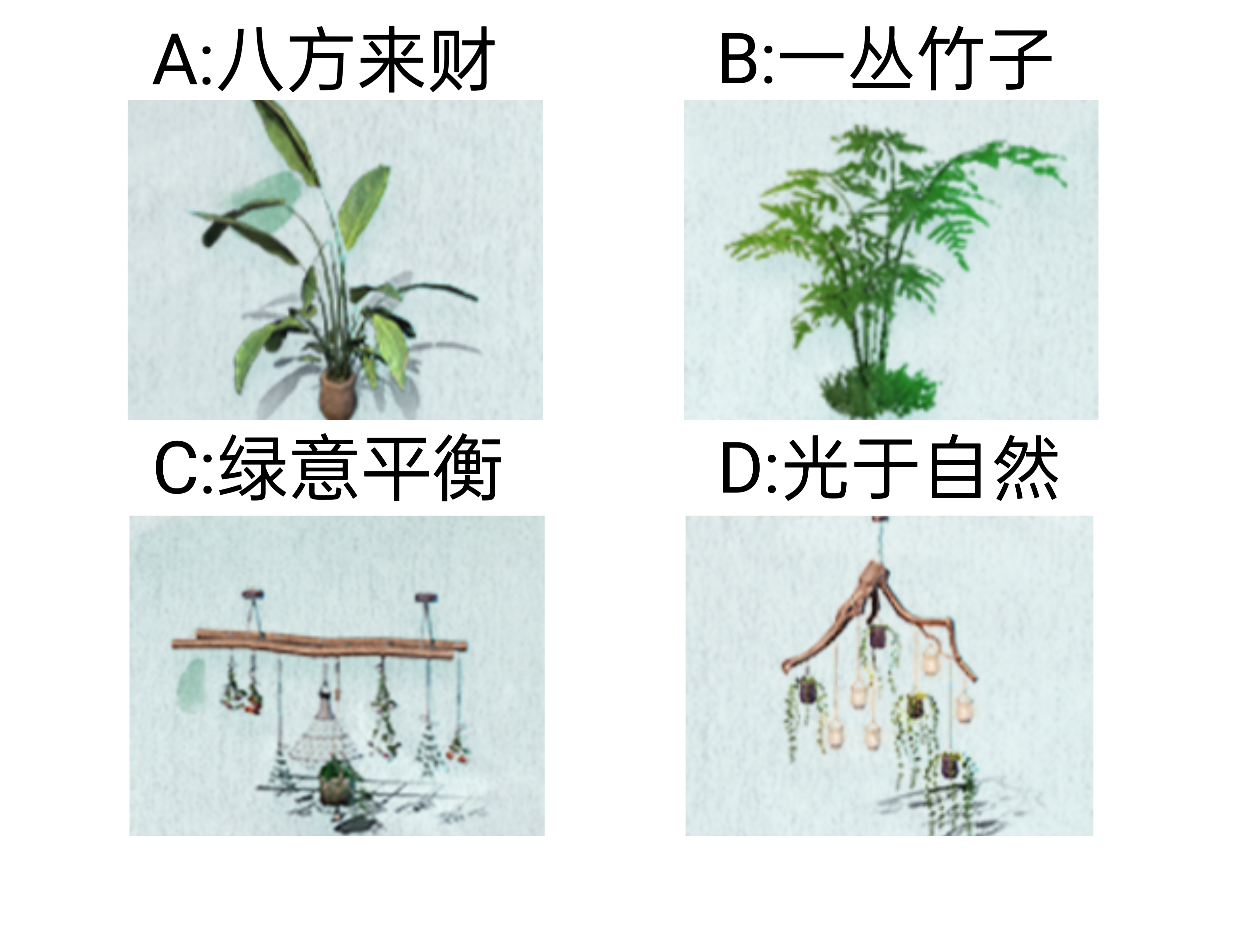 【已开奖】你最喜欢哪个端午盆栽？