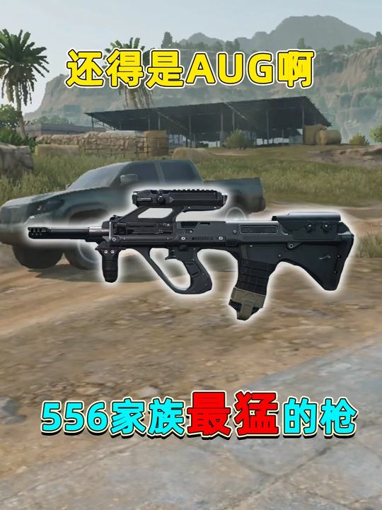 556口径最猛的武器还得是AUG啊，一百米外还能直接秒人
