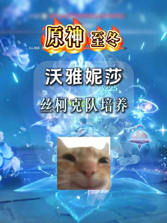 【角色攻略】沃雅妮莎的丝柯克全队攻略