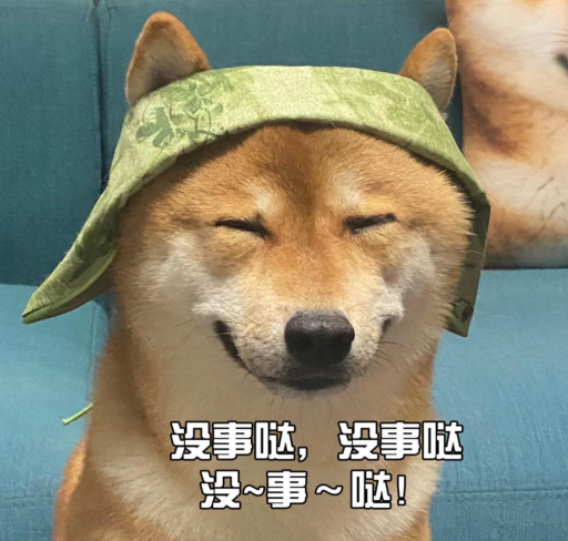 柴犬治愈不如来场零压力的策略盛宴