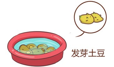 汤姆猫生活小常识：发芽的马铃薯不能吃