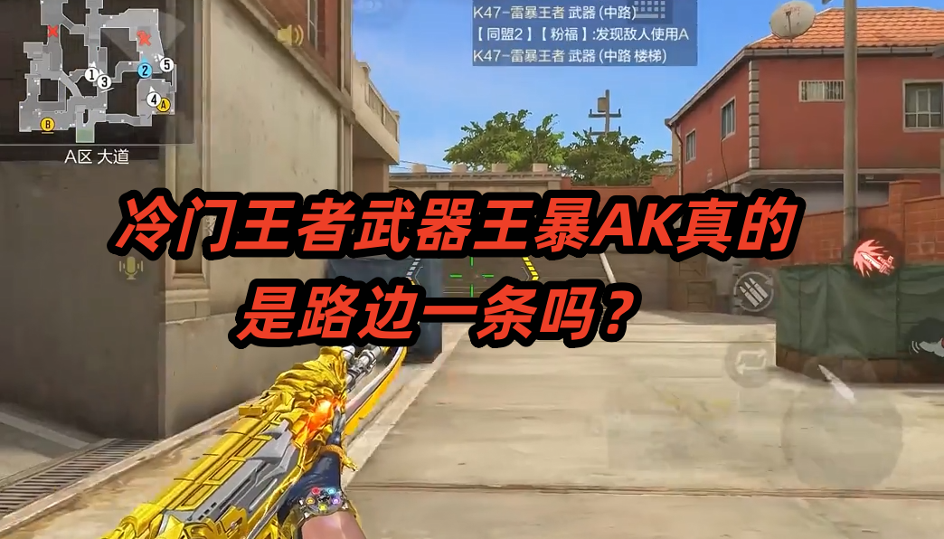 冷门王者武器王暴AK真的是路边一条吗？