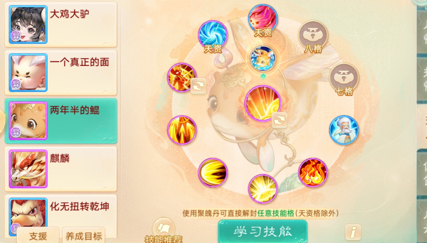 全功！大力鱼？来看看这只两年半的鲲属性如何？