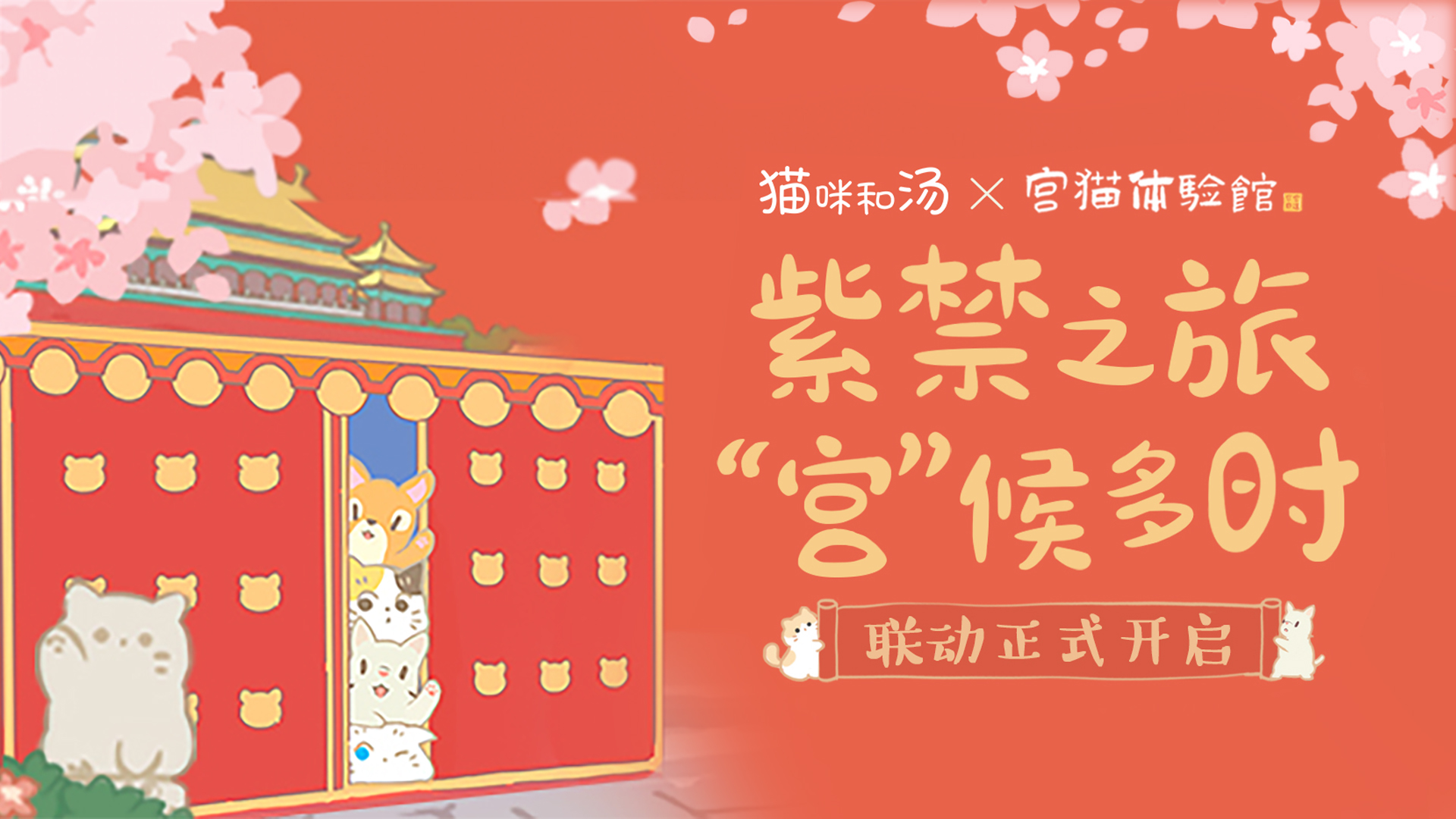 猫咪和汤×宫猫体验馆 奉旨撸猫主题店上线