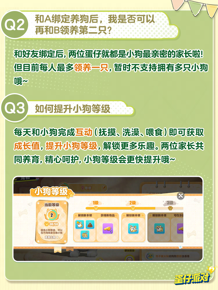 汪汪课堂开课啦！