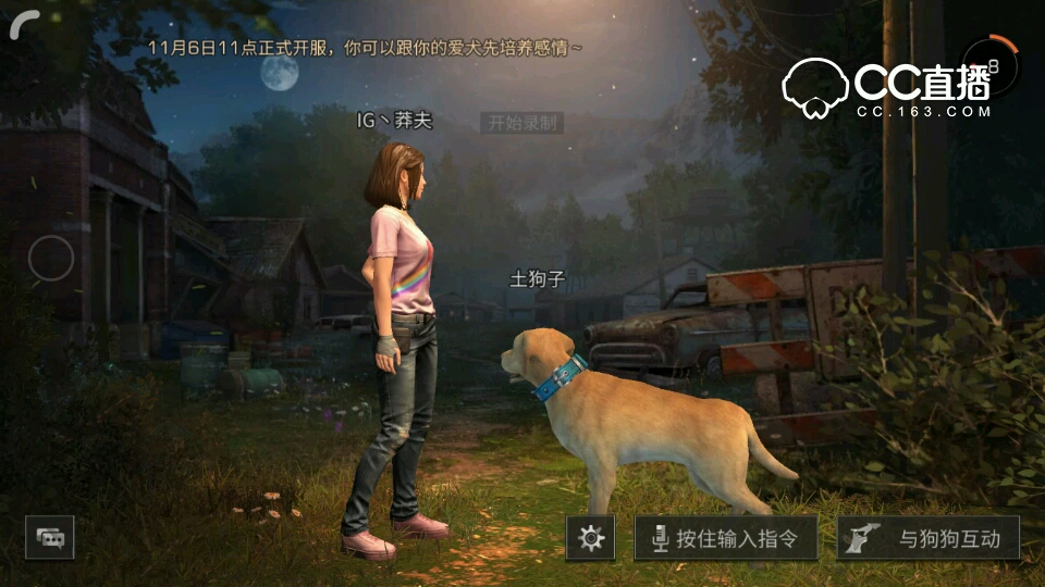 明日之后、新手求带