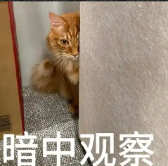 亲子时光妙计多 三谋教你轻松制造小确幸